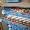 Egg Incubators - Image 2