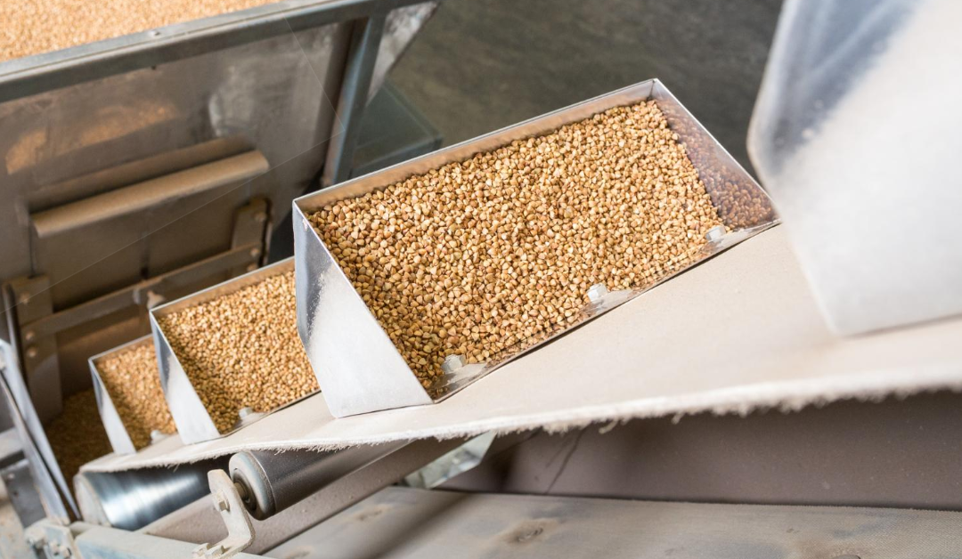 3 Applications of Soybean Extruders: Transforming a Versatile Bean through Food Processing