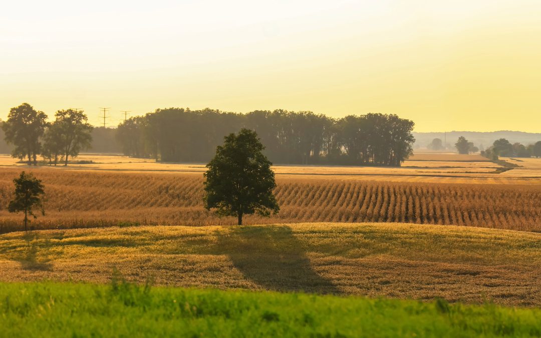 The Rise of Precision Agriculture Equipment – 5 Key Players: Cultivating the Future with Innovative Technologies