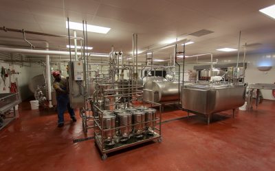 Top 5 Reasons to Invest in Industrial Food Processing Equipment from China for Your Business in 2024